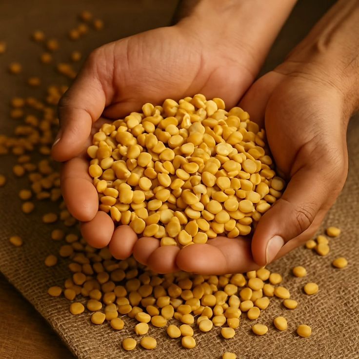 Gram Dal 250 g - Image 3
