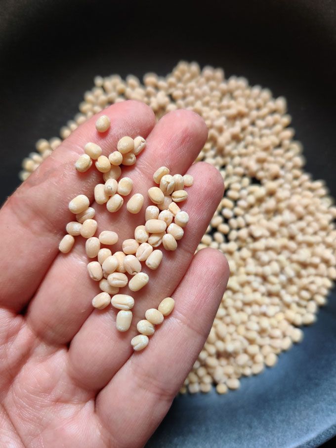 Urad Dal     500 g - Image 5