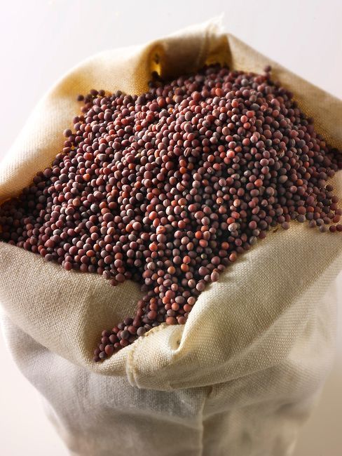 Mustard 100 g - Image 5