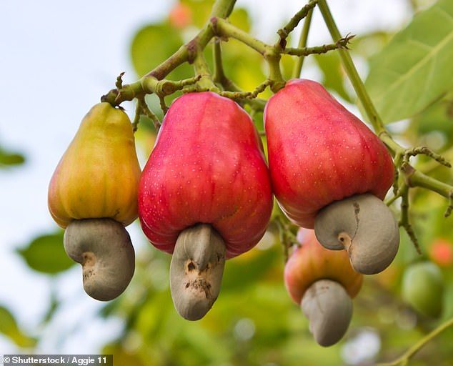 Cashew Nut  100 g - Image 1