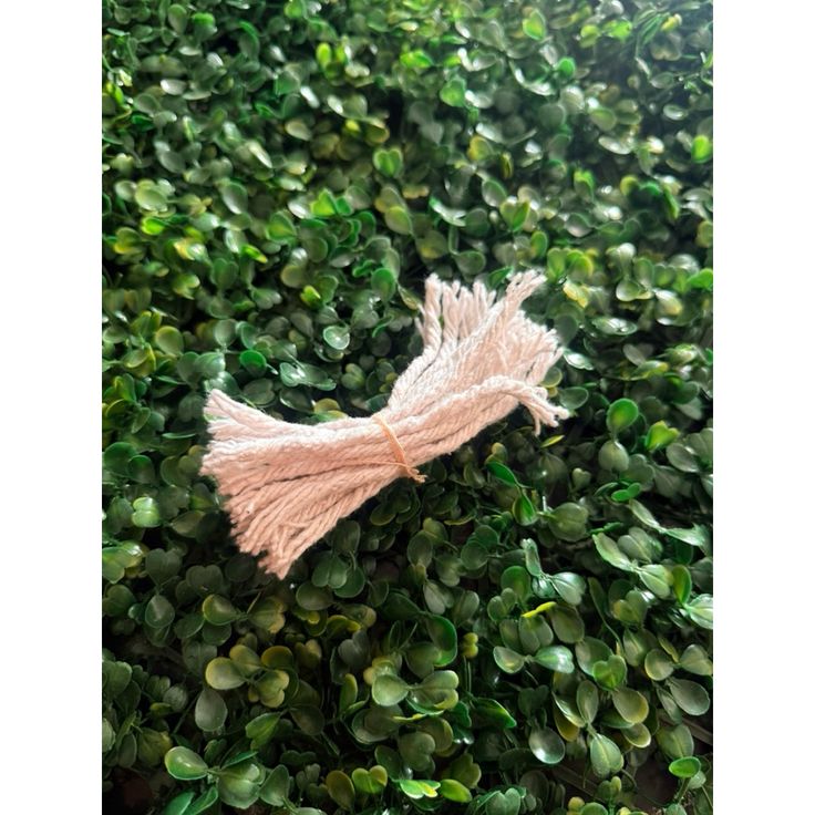 Cotton Thiri Loose - Image 1